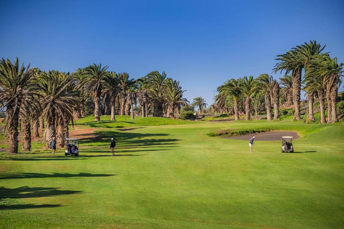 A well maintained fairway under clear blue skies