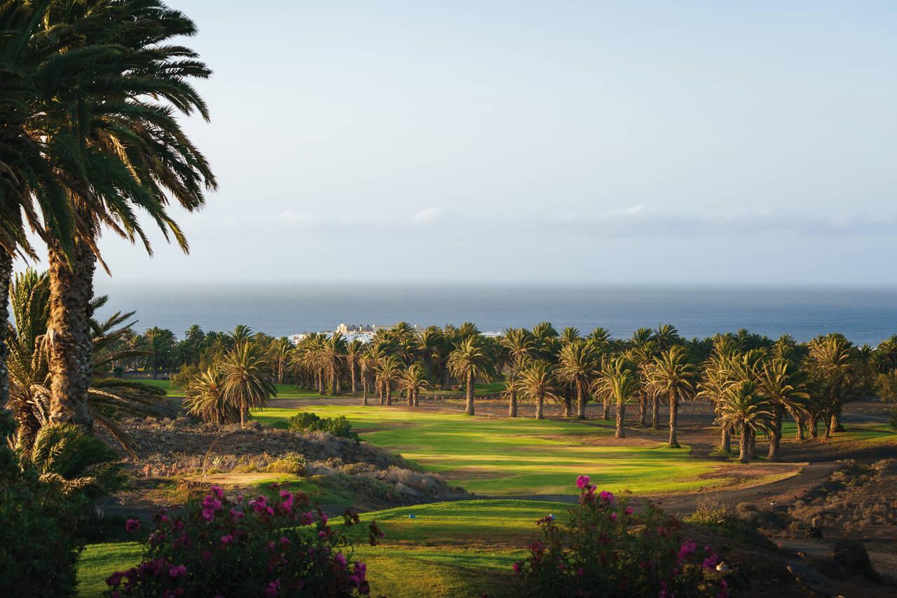 A well maintained fairway lined with palm trees