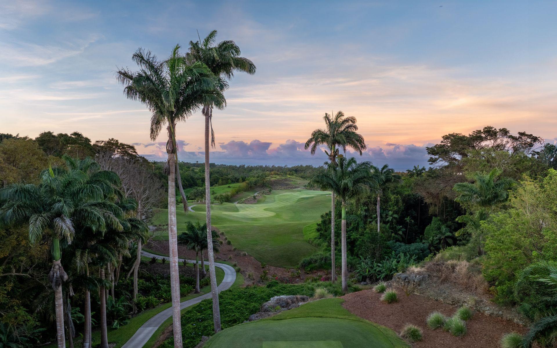Overhead view of a well maintained fairway with palm trees