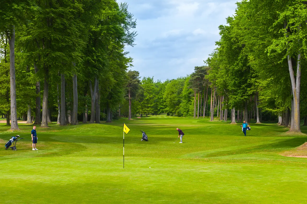 A wide fairway leading to a smooth green