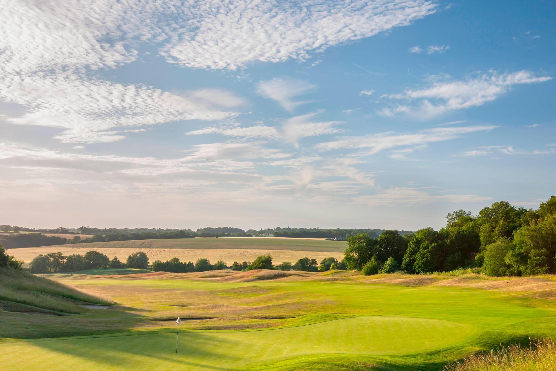 A winding fairway with a tree line