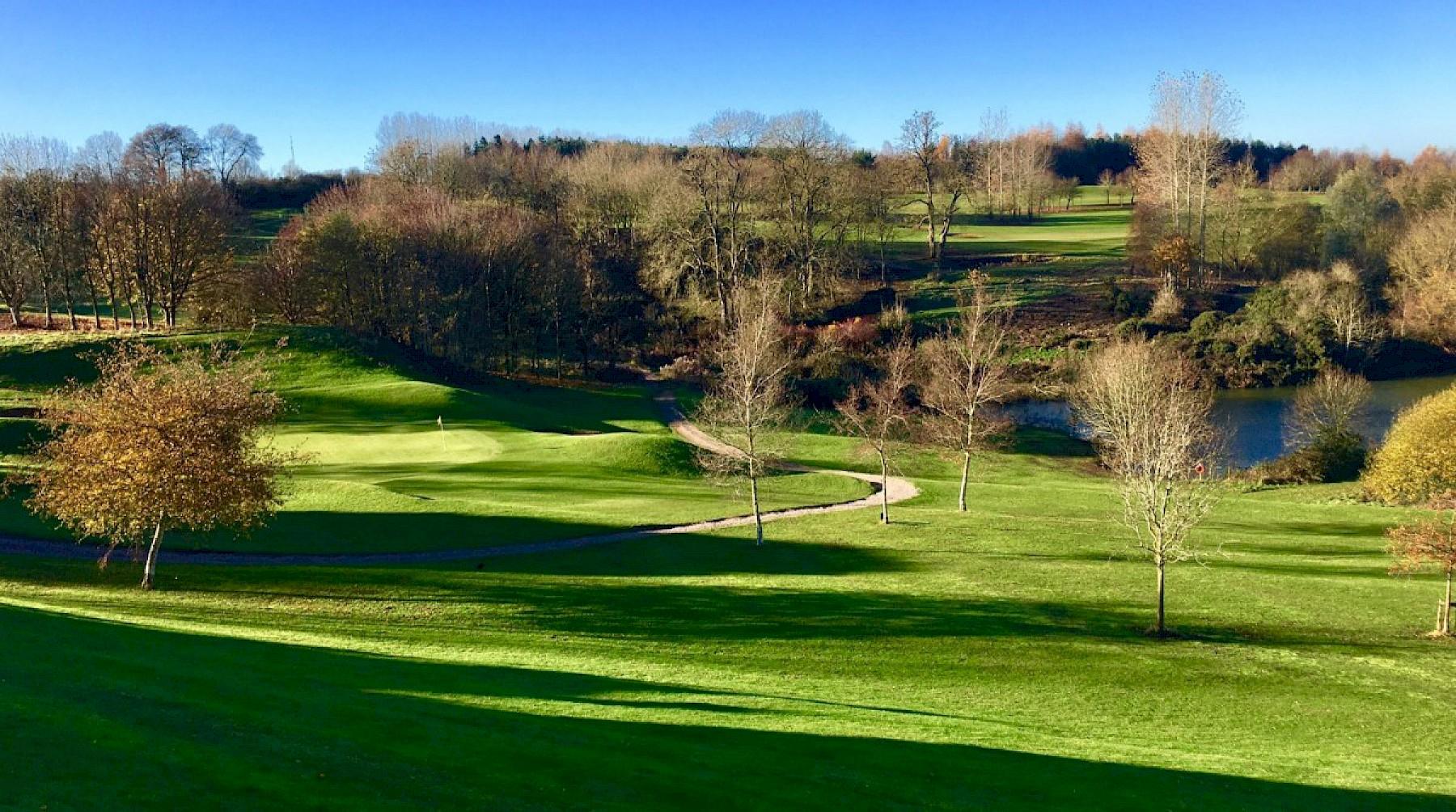 A well maintained nestled with trees