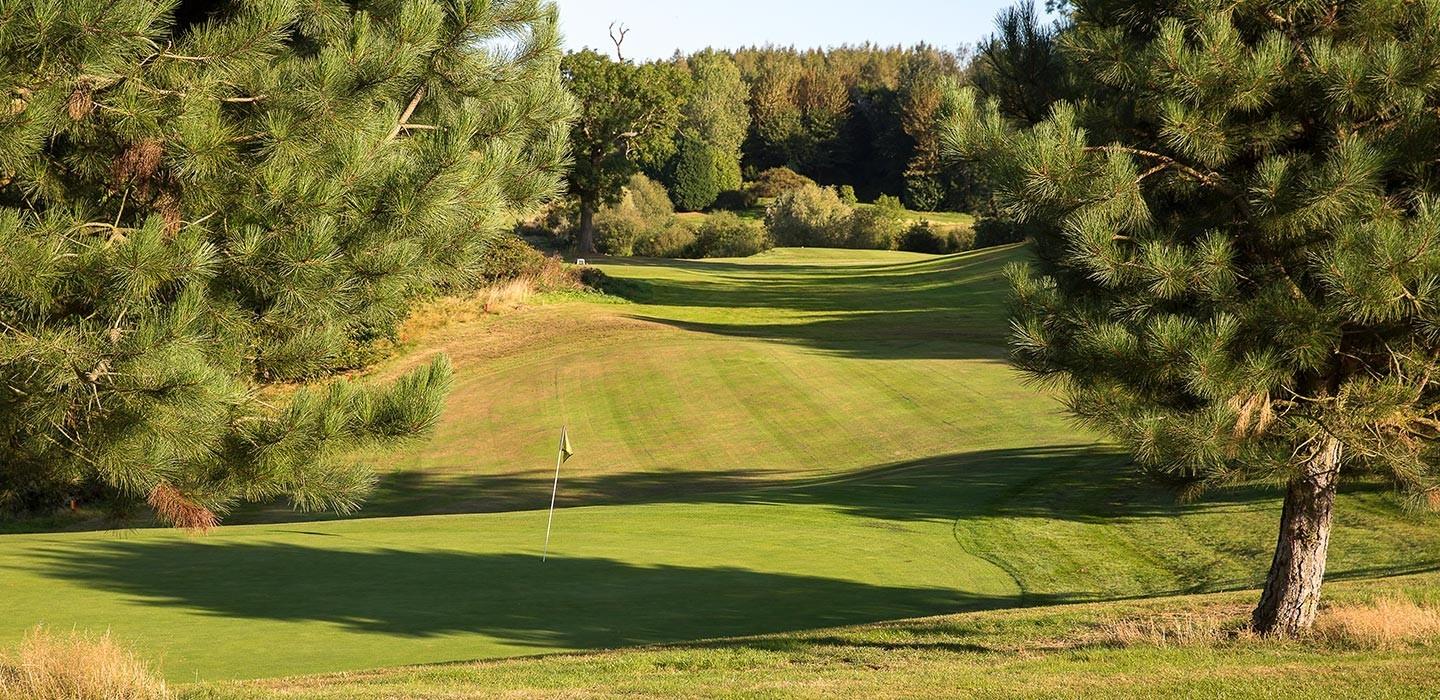 A wide fairway leading to a smooth green