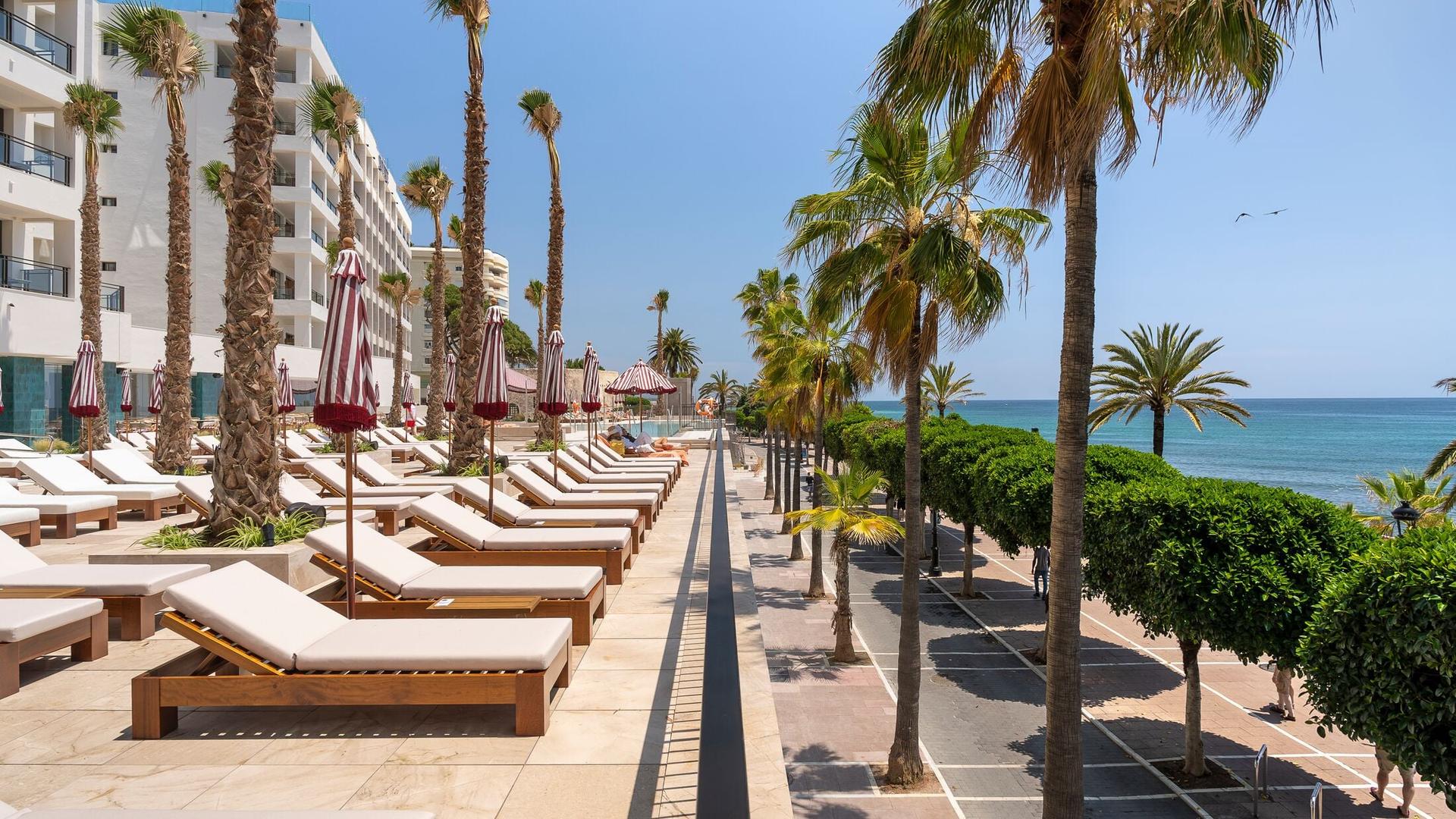 Beach facing sunbeds lined with palm trees at Hotel El Fuerte Marbella
