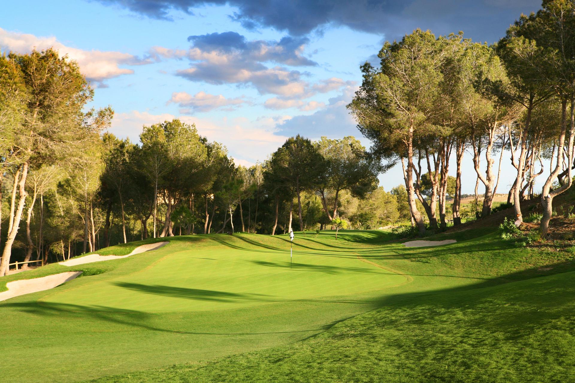 Green surrounded by bunkers and trees