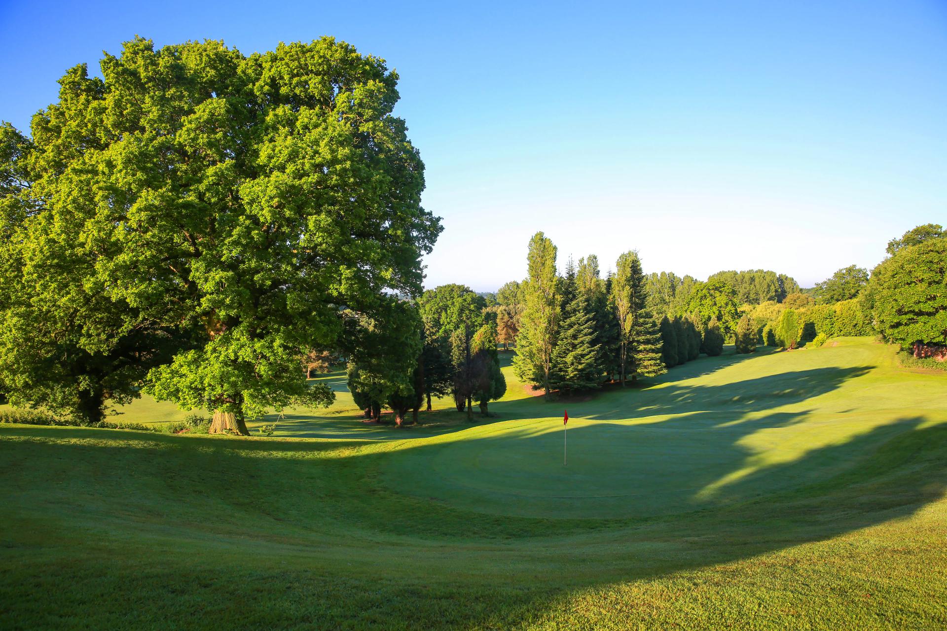 Overhead view of a smooth green at the Macdonald Hill Valley Hotel, Golf & Spa