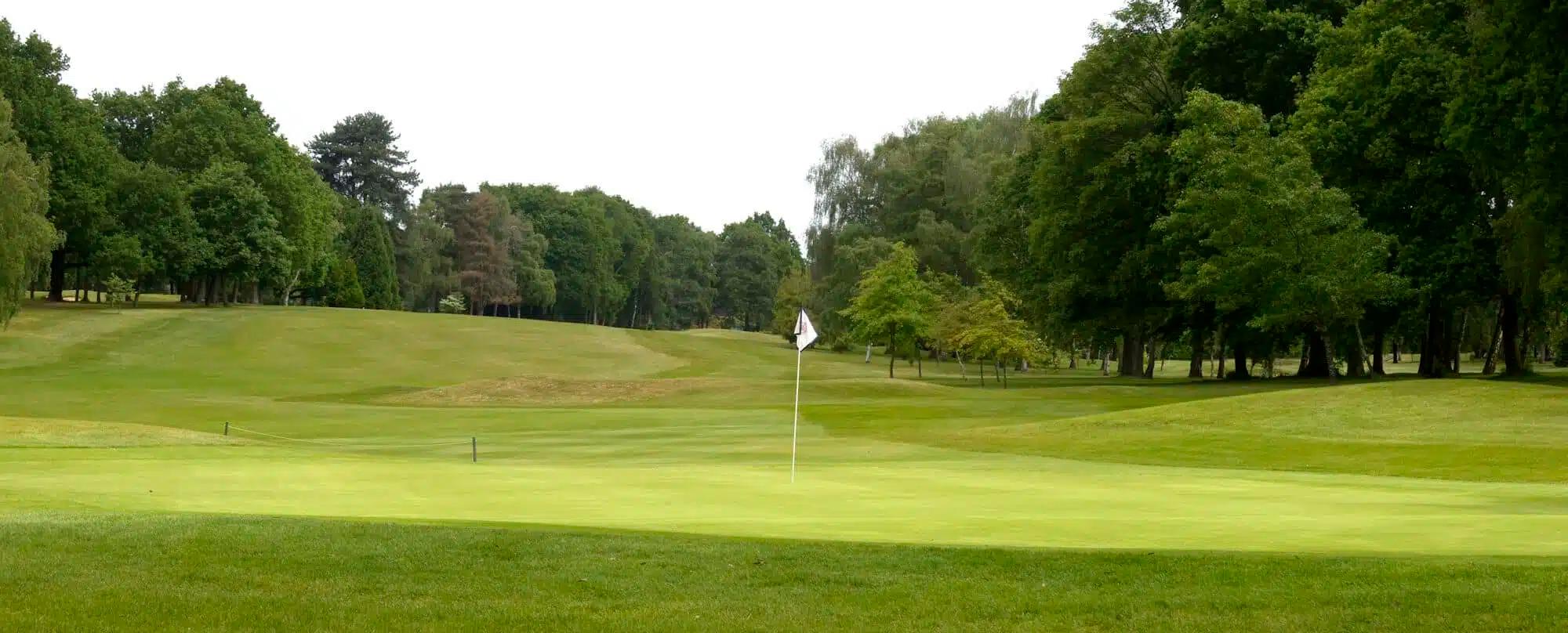 A smooth green with a white flagstick