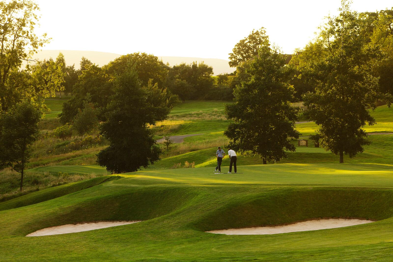 A smooth elevated green surrounded by sand bunkers