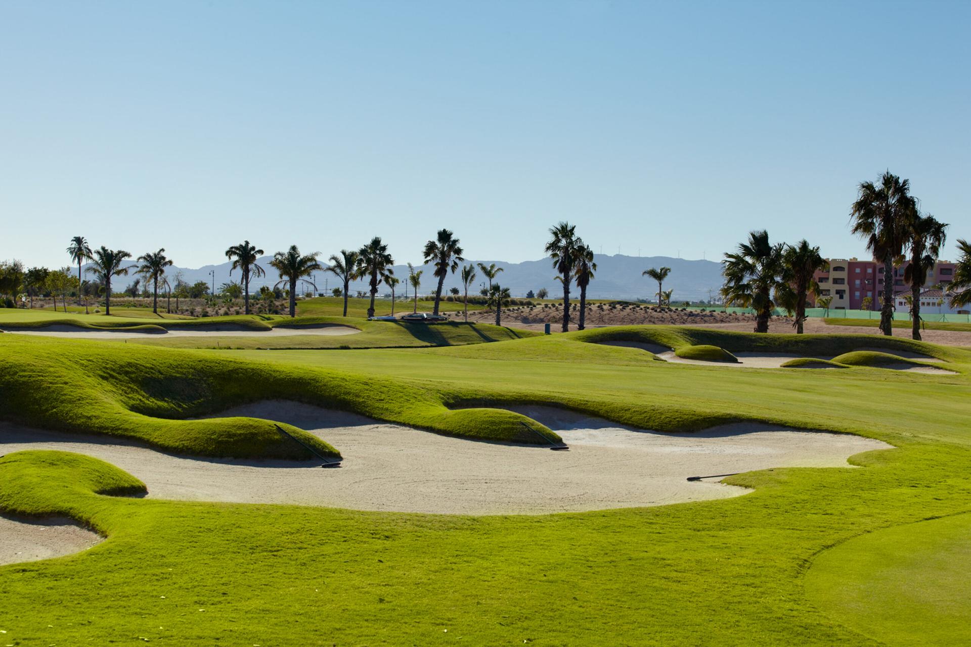 A well maintained fairway nestled with sand bunkers