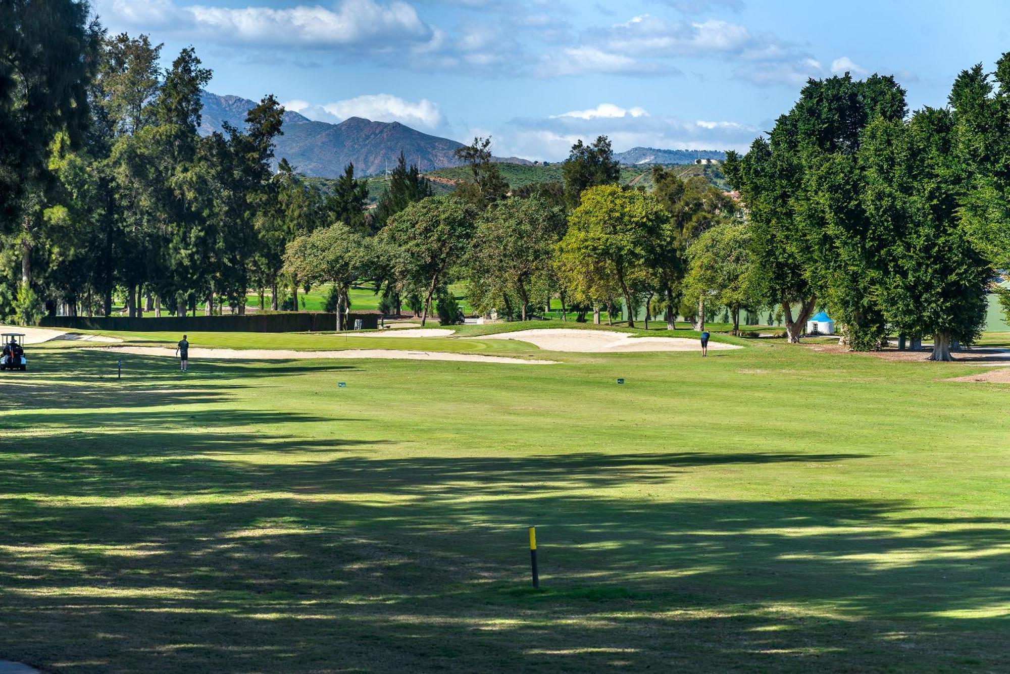 A well maintained fairway lined by trees