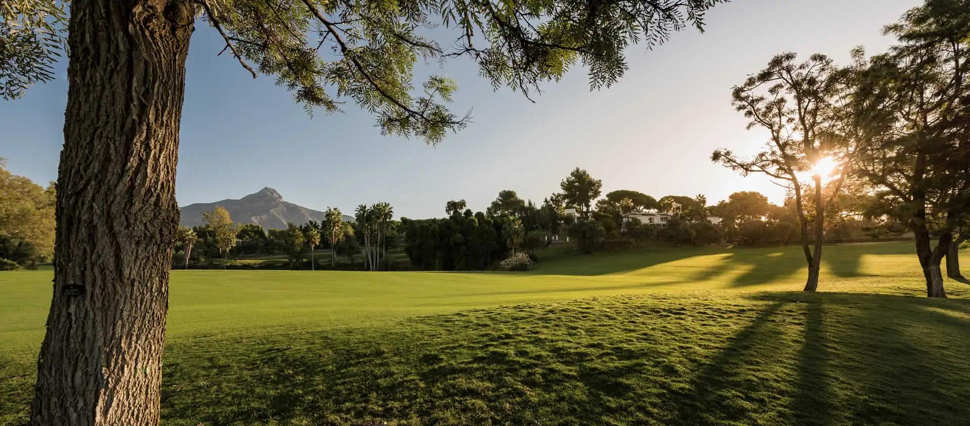 Sun shining over a well maintained fairway at Puente Romano Beach Resort