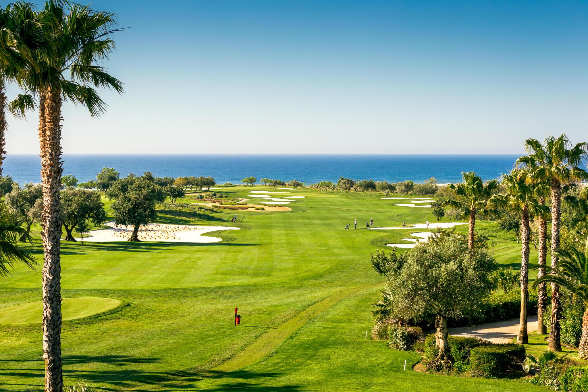 Fairway in blue skies with palm tree to left
