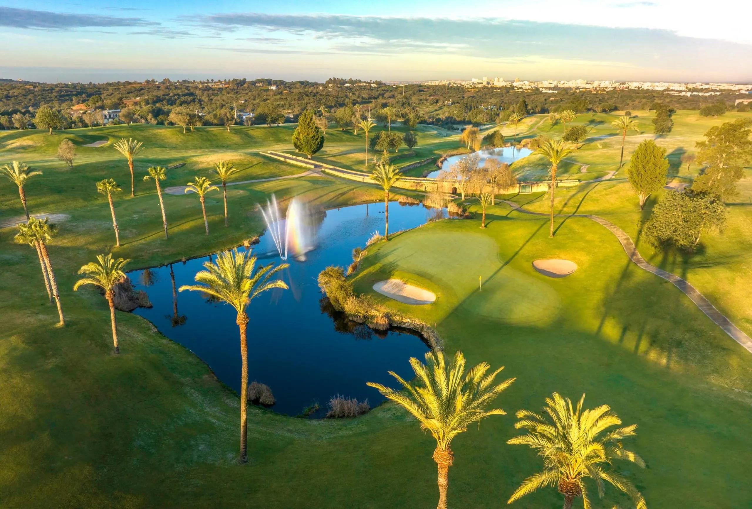 Golf course surrounding lake with palm trees